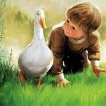 دوره ي قلمروي زباني و ادبي( نهاد،هفتم)